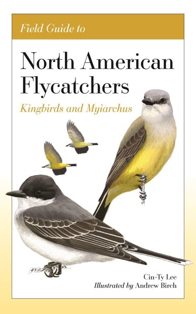 Field Guide to North American Flycatchers: Kingbirds and Myiarchus ...