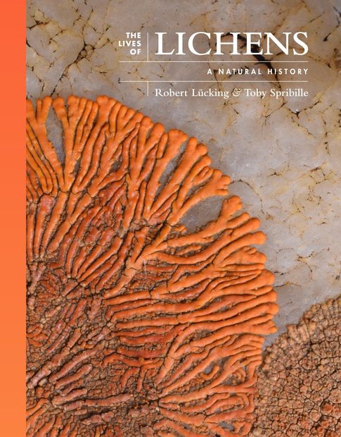 The Lives of Lichens