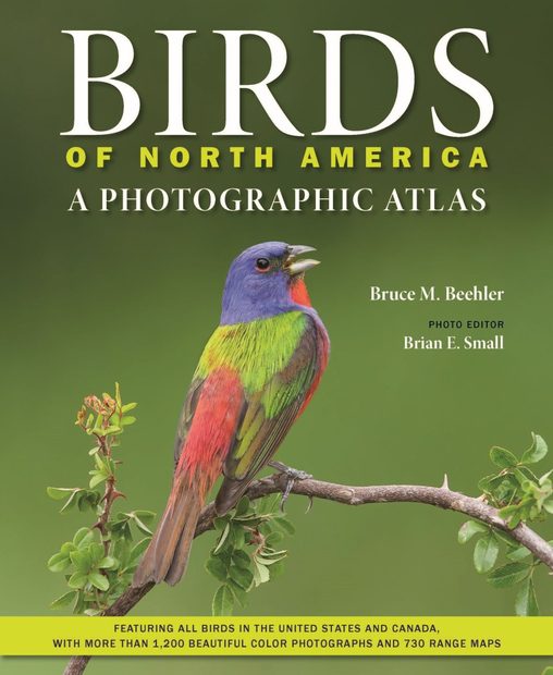 Birds of North America: A Photographic Atlas | NHBS Field Guides ...