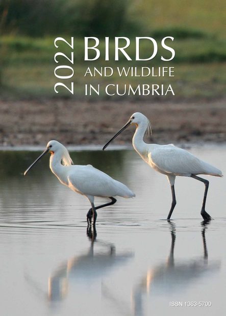 Birds and Wildlife in Cumbria 2022