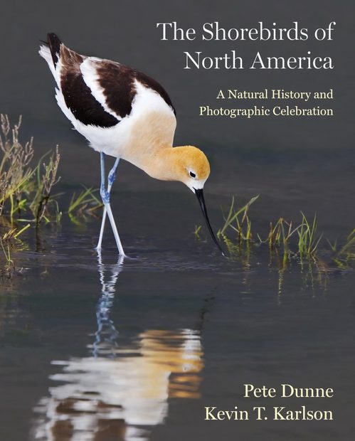 The Shorebirds of North America