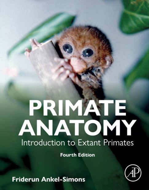 Primate Anatomy