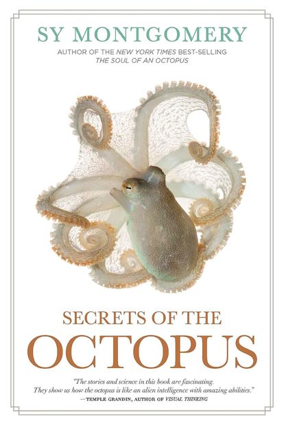Secrets of the Octopus