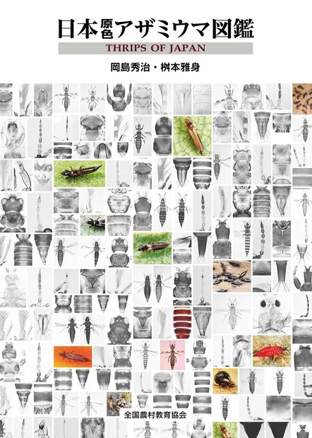 Thrips of Japan [Japanese]