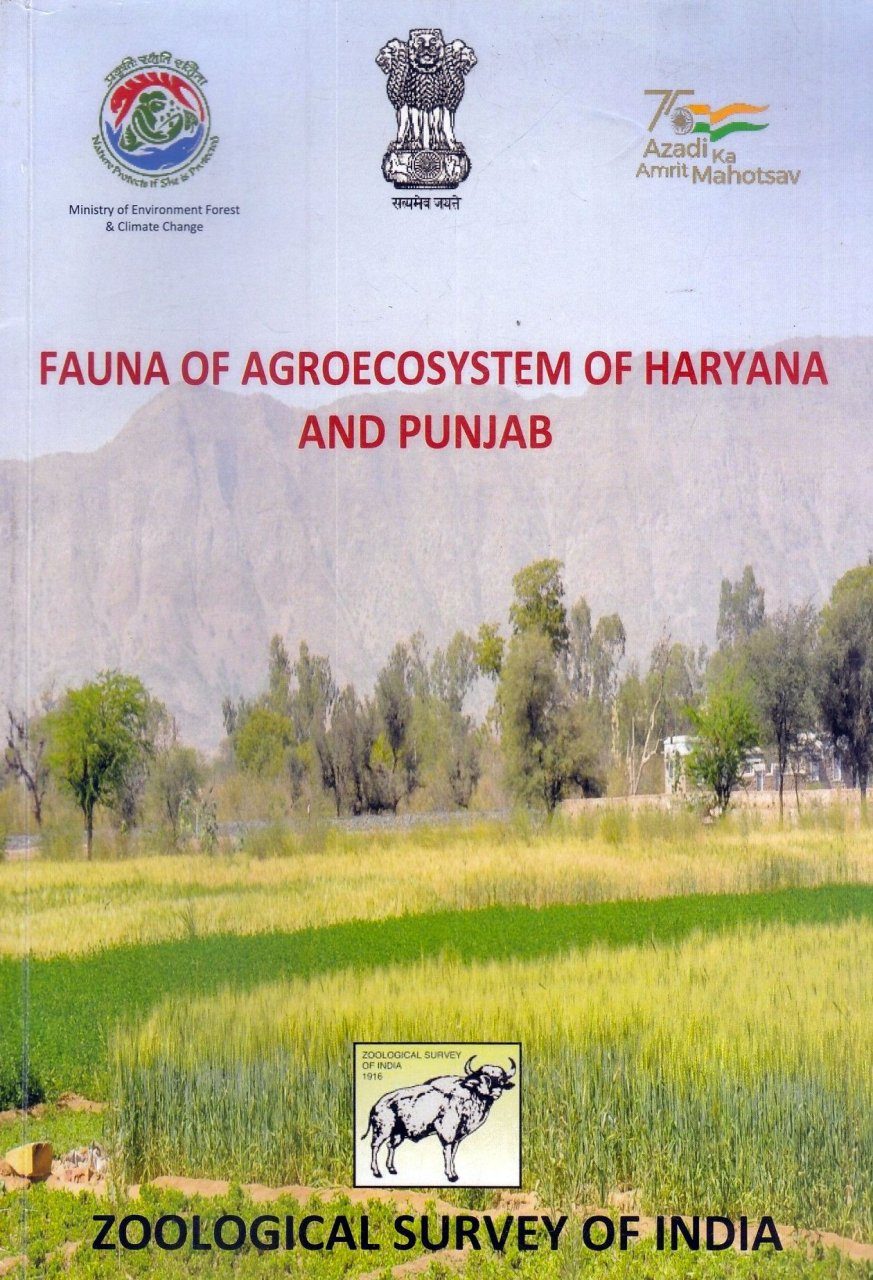 Fauna of Agroecosystem of Haryana and Punjab | NHBS Academic ...