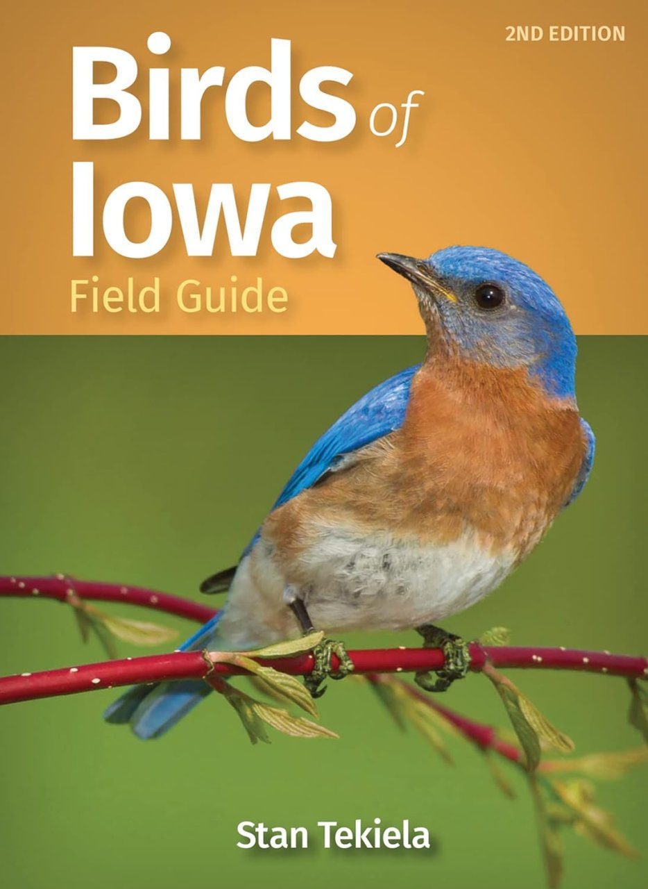 Birds Of Iowa Field Guide NHBS Field Guides Natural History Birds Of Iowa Field Guide NHBS Field Guides Natural History