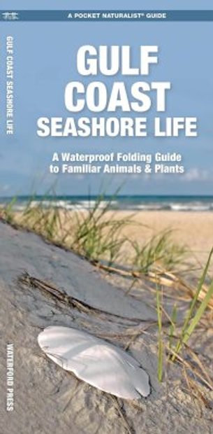 Gulf Coast Seashore Life
