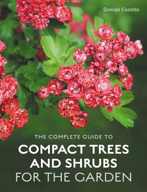 The Complete Guide to Compact Trees and Shrubs for the Garden