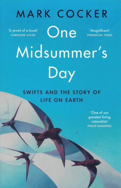 One Midsummer's Day