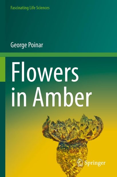Flowers in Amber
