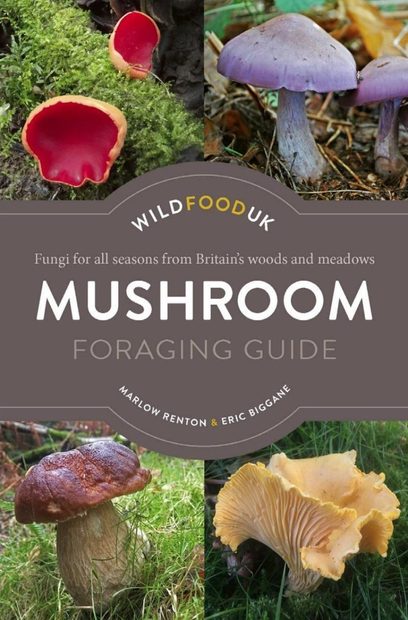 Mushroom Foraging Guide