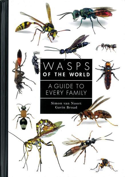 Wasps of the World