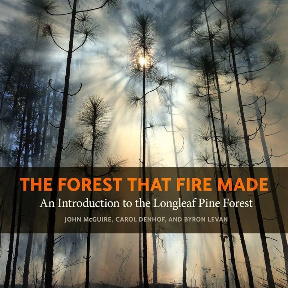 The Forest That Fire Made An Introduction to the Longleaf Pine Forest