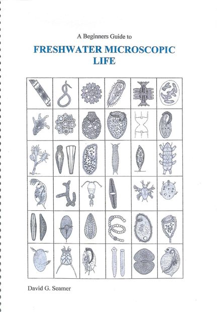 A Beginners Guide to Freshwater Microscopic Life | NHBS Field Guides ...