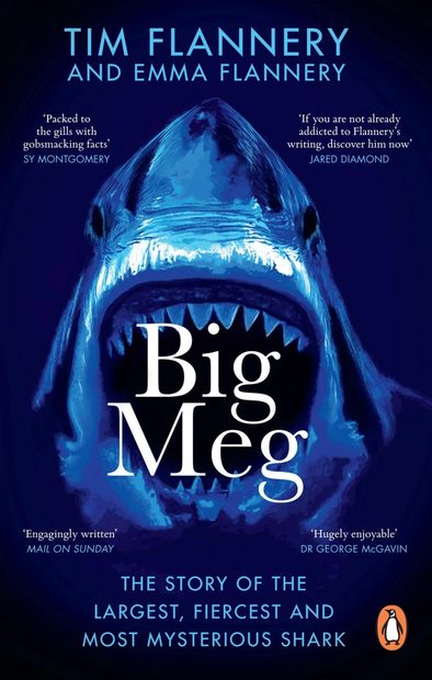 Big Meg