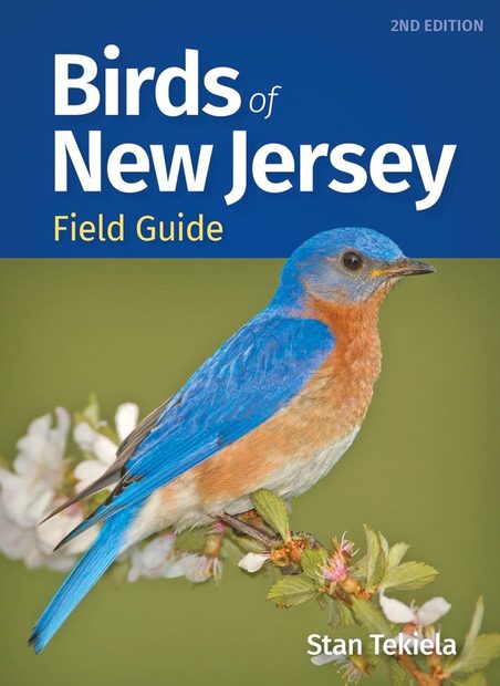Birds of New Jersey