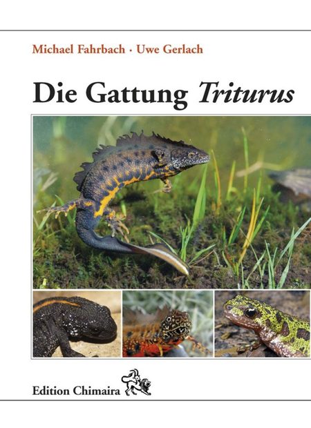 Die Gattung Triturus: Geschichte, Biologie, Systematik, Zucht [The Genus Triturus: History, Biology, Systematics, Captive Breeding]
