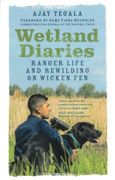 Wetland Diaries