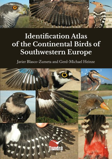 Identification Atlas of the Continental Birds of Southwestern Europe