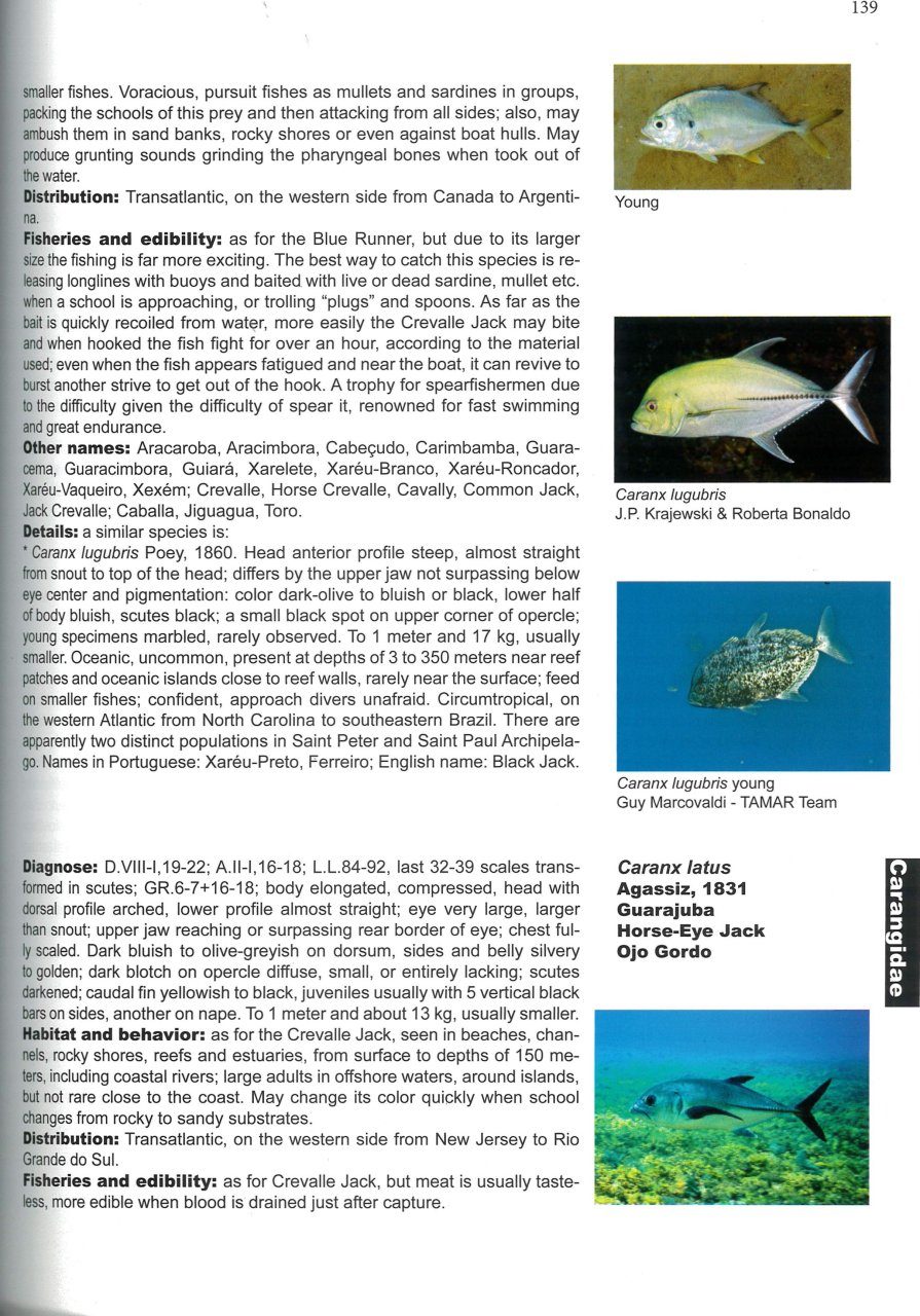 Fishes Of The Brazilian Coast - ebook (ePub) - Alfredo Carvalho Filho -  Achat ebook