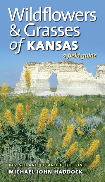 Wildflowers & Grasses of Kansas