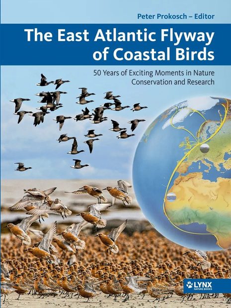 The East Atlantic Flyway of Coastal Birds | NHBS Academic ...