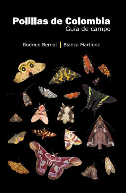 Polillas de Colombia: Guía de Campo [Moths of Colombia: Field Guide]