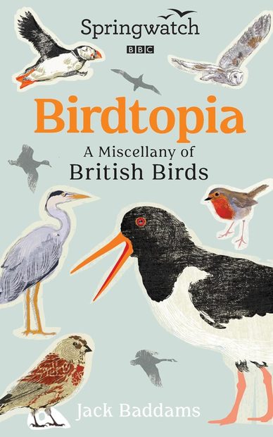 Springwatch: Birdtopia