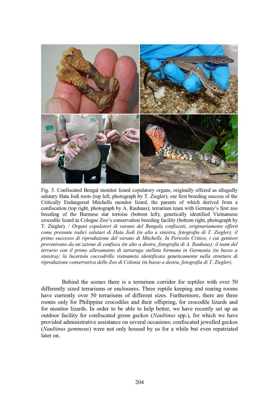 Atti XIV Congresso Nazionale della Societas Herpetologica Italica