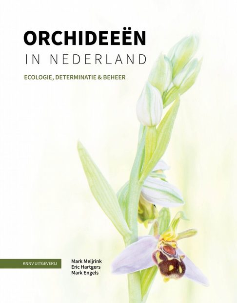 Orchideeën in Nederland: Ecologie, Determinatie & Beheer [Orchids in the Netherlands: Ecology, Identification & Management]