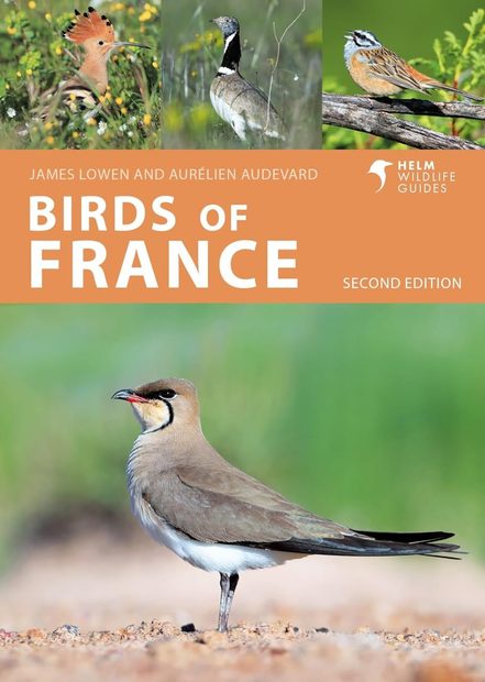 Birds of France