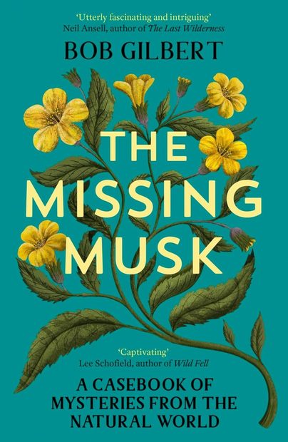 The Missing Musk