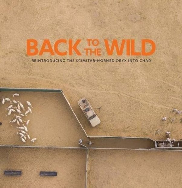 Back to the Wild