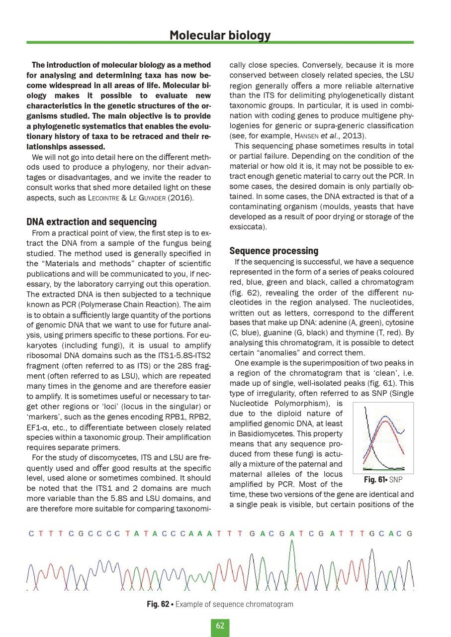 Studying the Discomycetes: From Initiation to Advanced Levels | NHBS ...