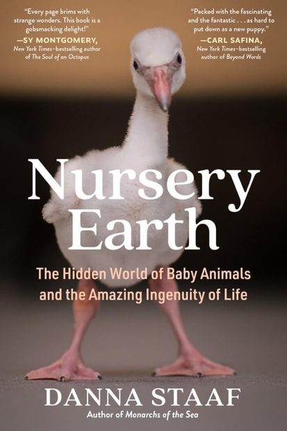 Nursery Earth