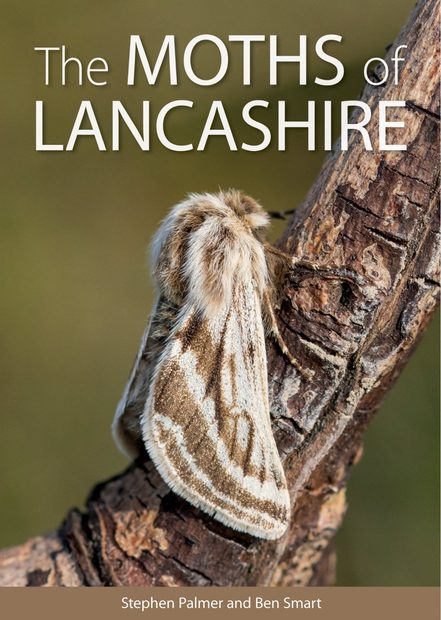 The Moths of Lancashire
