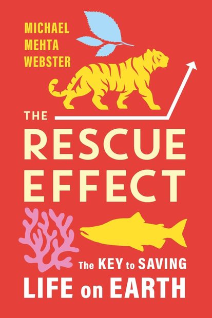 The Rescue Effect