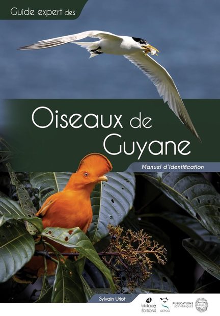 Oiseaux de Guyane: Manuel d'identification [Birds of French Guiana: Identification Handbook]