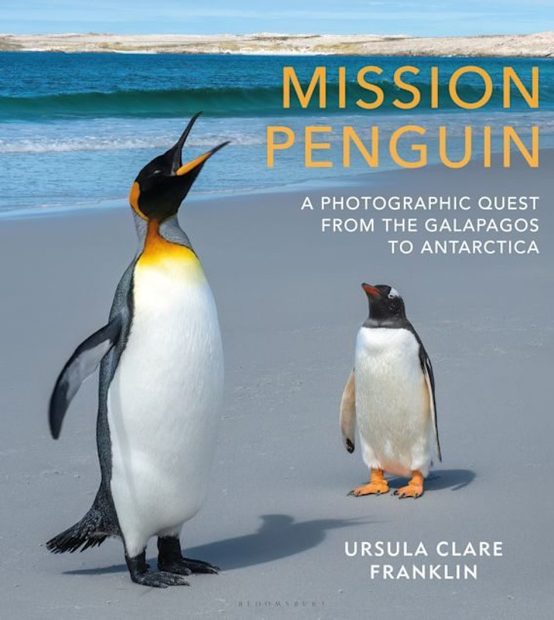 Mission Penguin: A Photographic Quest from the Galápagos to Antarctica ...