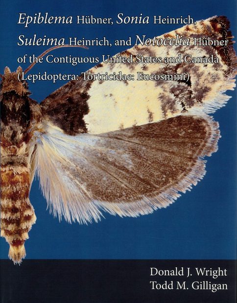 The Moths of America North of Mexico, Fascicle 9.6: Epiblema Hübner, Sonia Heinrich, Suleima Heinrich, and Notocelia Hübner of the Contiguous United States and Canada (Lepidoptera: Tortricidae: Eucosmini)
