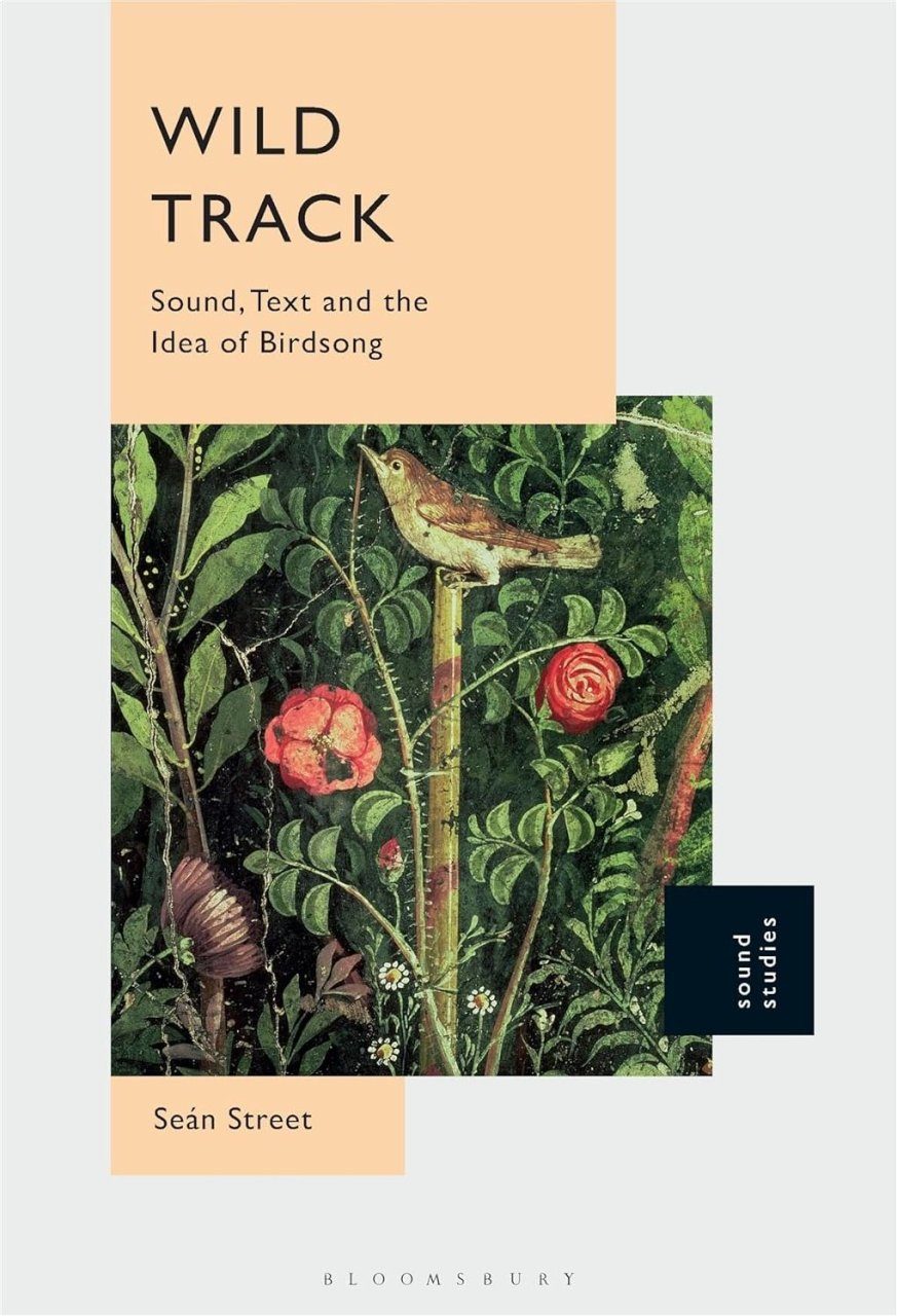 Wild Track: Sound, Text and the Idea of Birdsong | NHBS Academic ...