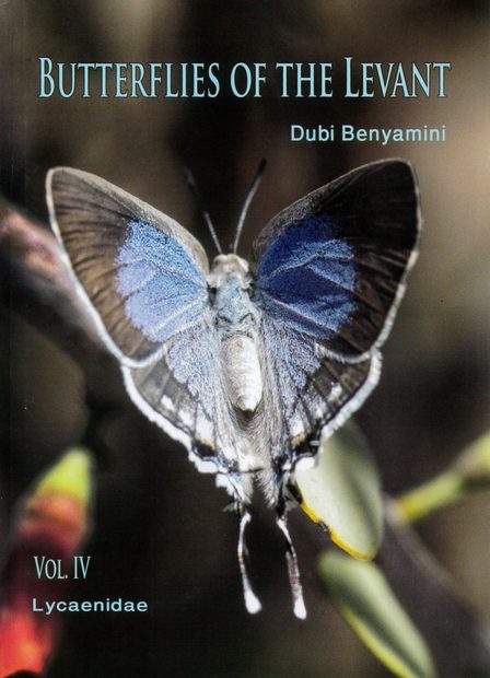 Butterflies of the Levant, Volume 4: Lycaenidae