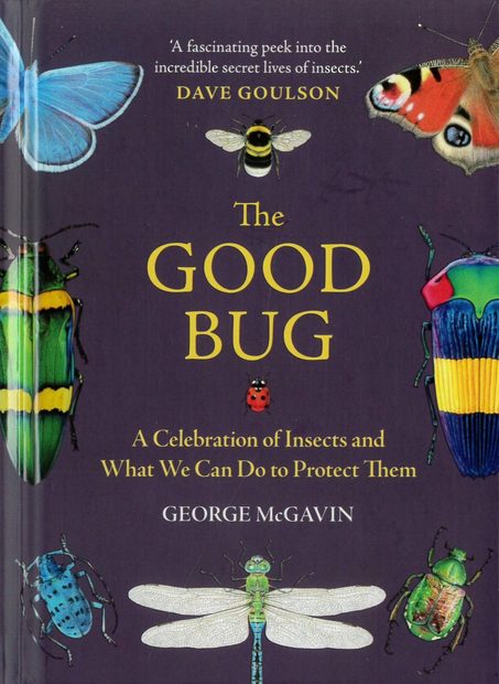 The Good Bug