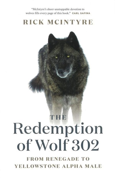 The Redemption of Wolf 302