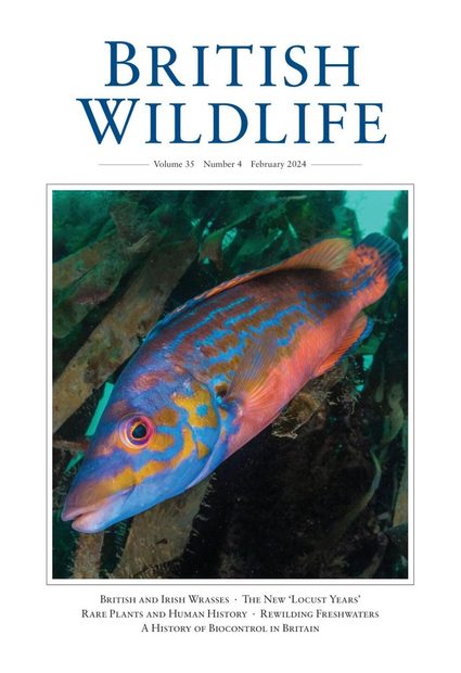 British Wildlife 35.4 February 2024