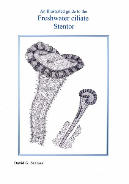 An Illustrated Guide to the Freshwater Ciliate Stentor | NHBS Field ...