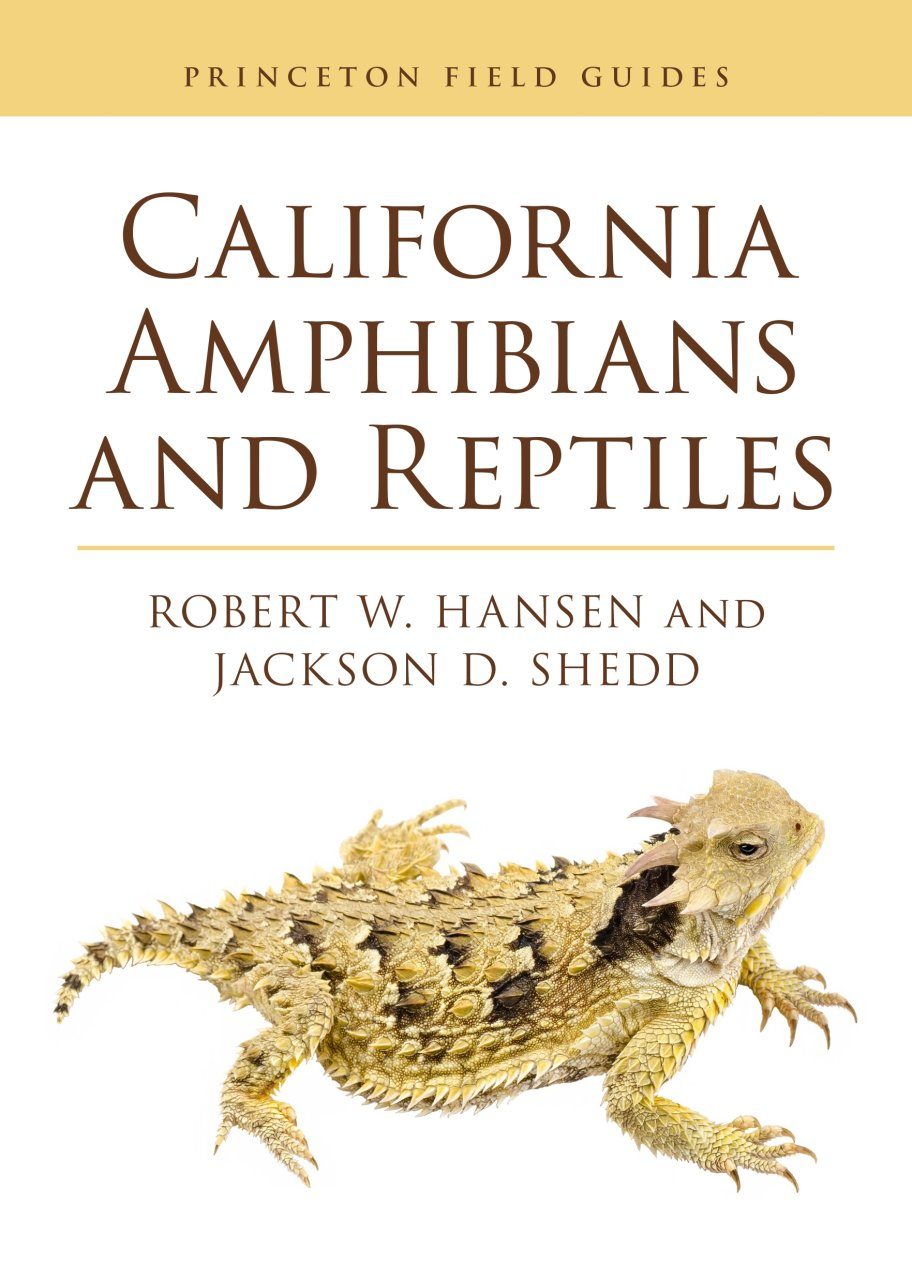 California Amphibians and Reptiles | NHBS Field Guides & Natural History