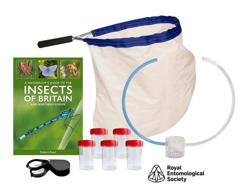 Royal Entomological Society Educational Bug Hunting Kit 