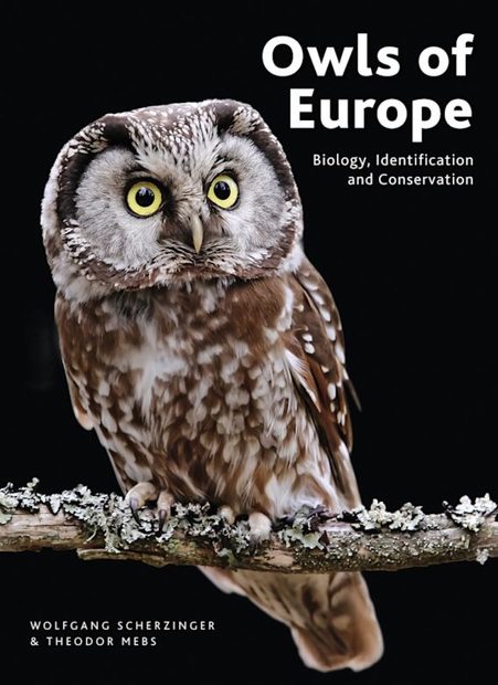 Owls of Europe