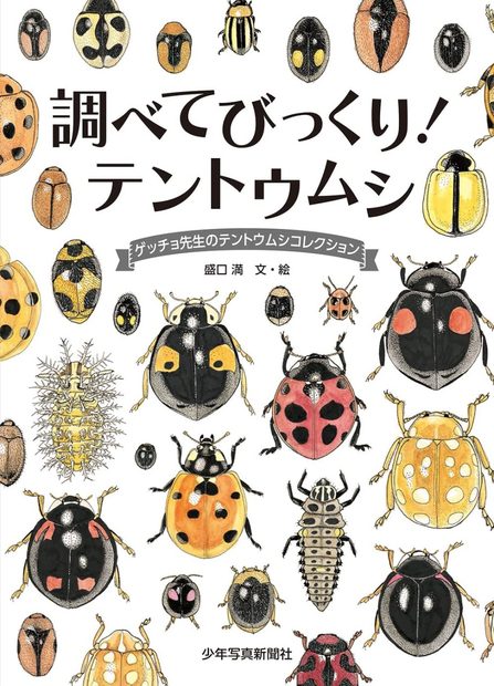 Tentōmushi: Getcho Sensei no Tentoumushikorekushon [Ladybirds: Mr. Getcho's Ladybird Collection]
